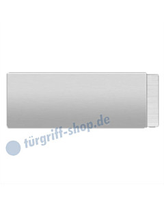 Gegenkasten EGSG 110Q für Glastürschloss Edelstahl matt Karcher