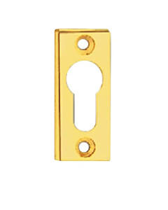 Schmalrahmen-Schlüsselrosette PZ rechteckig mit sichtbarer Verschraubung in 4 Farben von  Spitzer