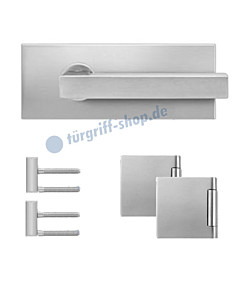 Glastürschloss-Set EGS360Q inkl Bänder und Griffpaar Edelstahl matt von Karcher