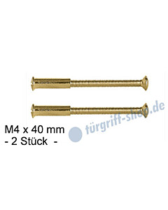 Hülsenschrauben -2 Stück- M4 x 40 mm, Messing-poliert von Lienbacher
