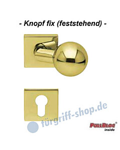 Türknopf gekröpft auf Quadratrosette mit PZ-Rosette fix PVD Messing poliert Scoop