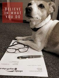 Fiddi - Bürohund